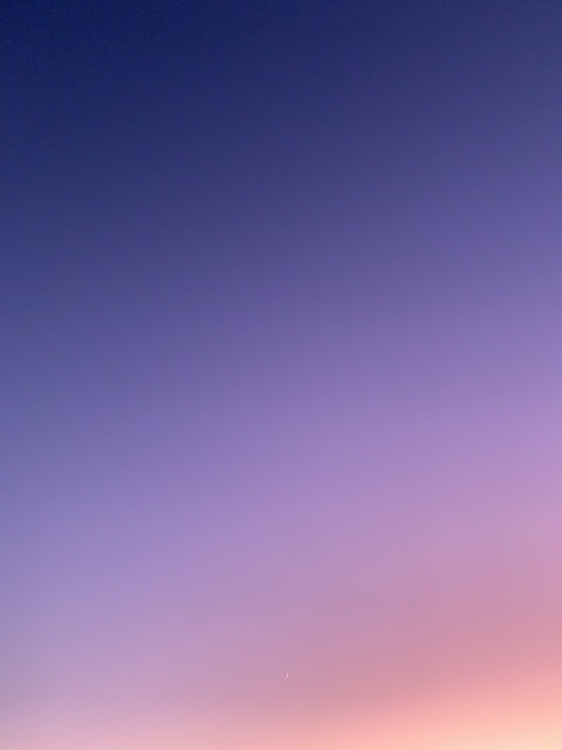 Person painting wall